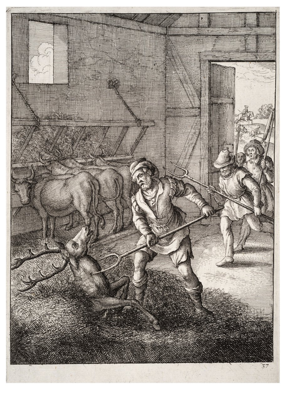 Hjort i kostalden af Wenceslaus Hollar