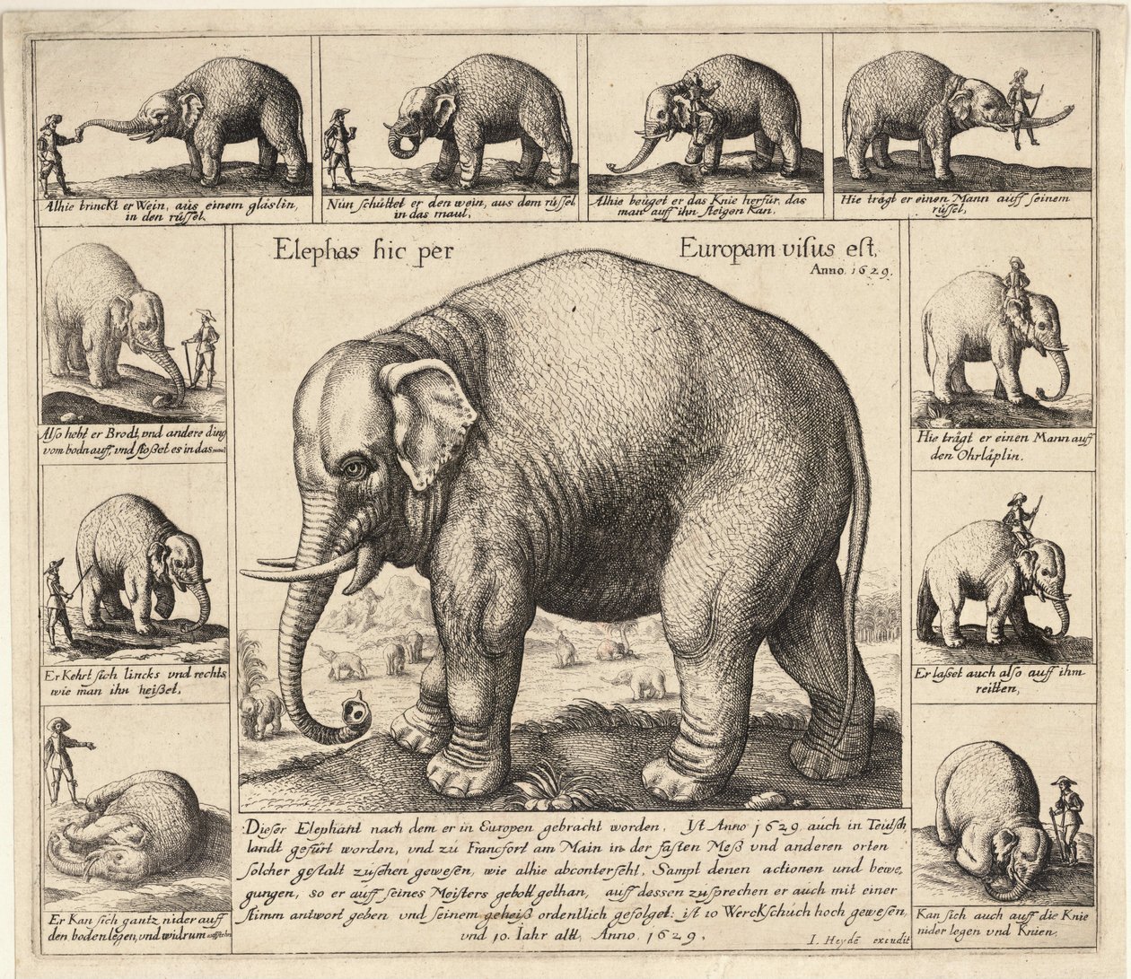 Den tamme elefant af Wenceslaus Hollar