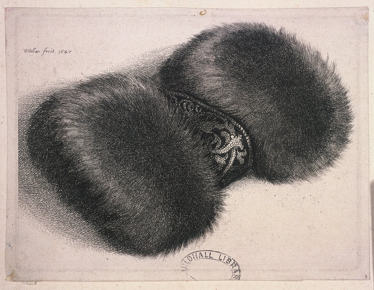 En stor muffe med et bånd af brokade, 1647 af Wenceslaus Hollar