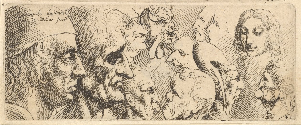 En række hoveder, 1625-77. af Wenceslaus Hollar