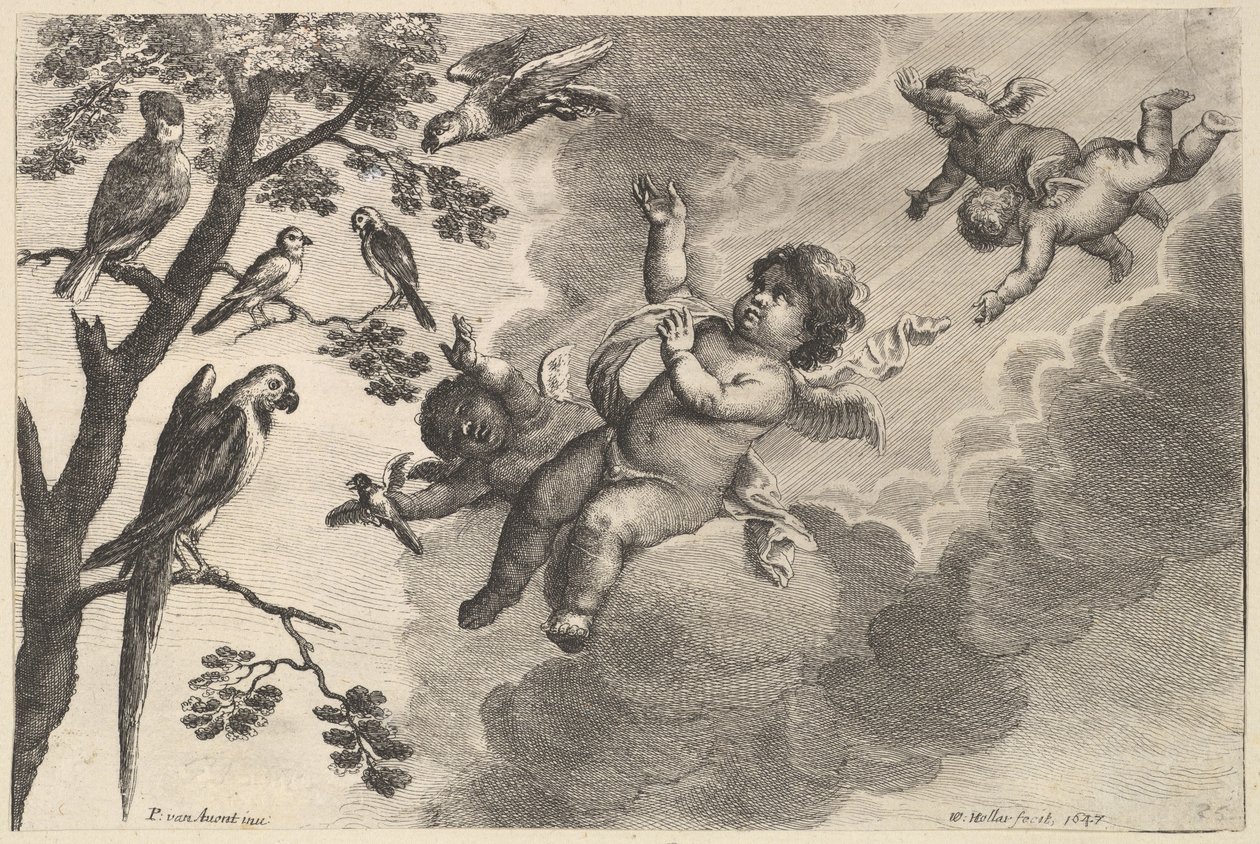 Air De fire elementer, ca. 1647. af Wenceslaus Hollar