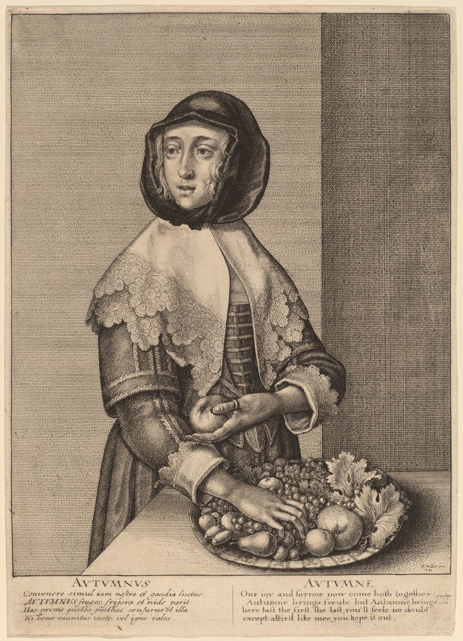 Efterår af Wenceslaus Hollar