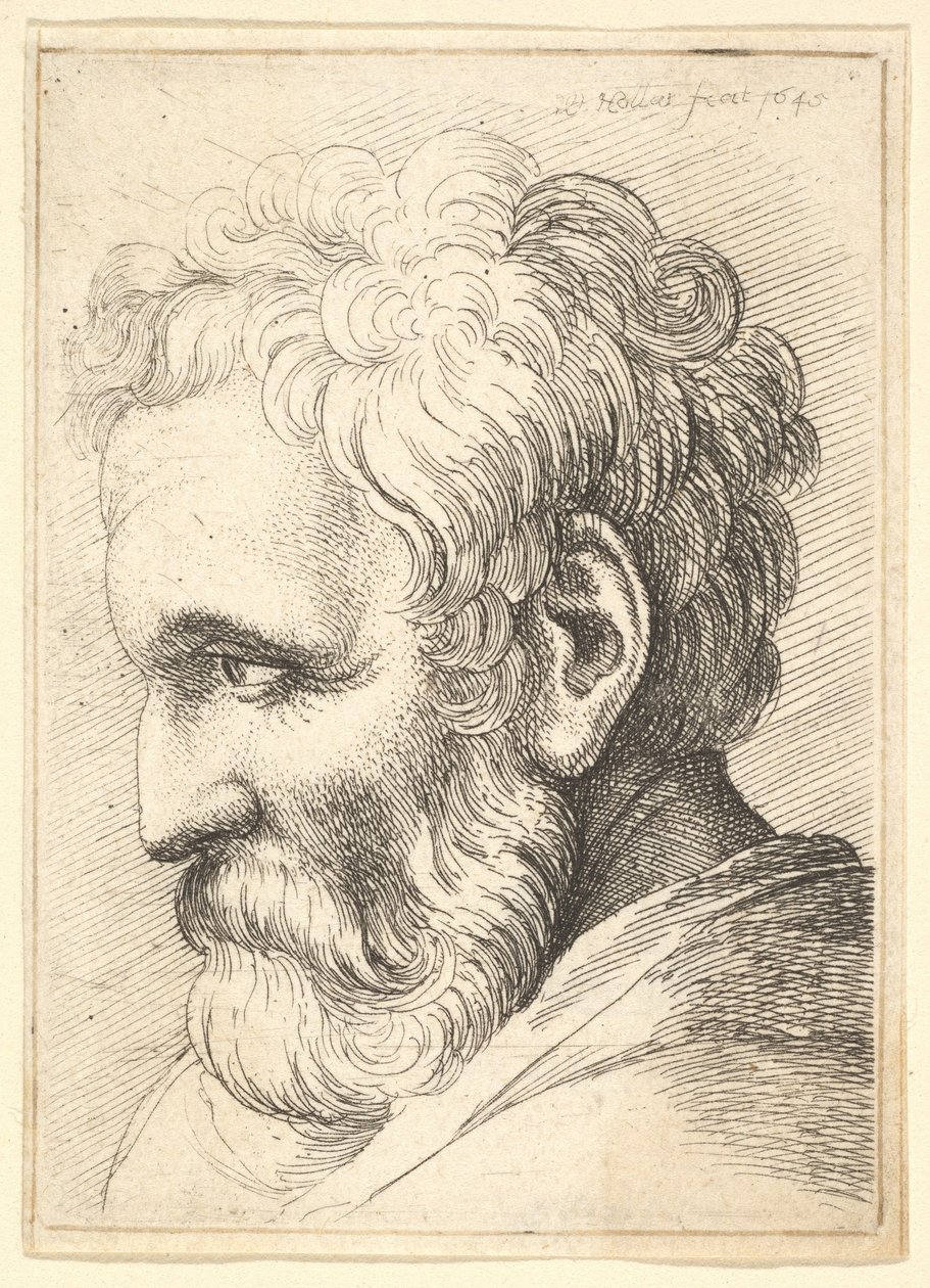 Gammel mand med skæg af Wenceslaus Hollar