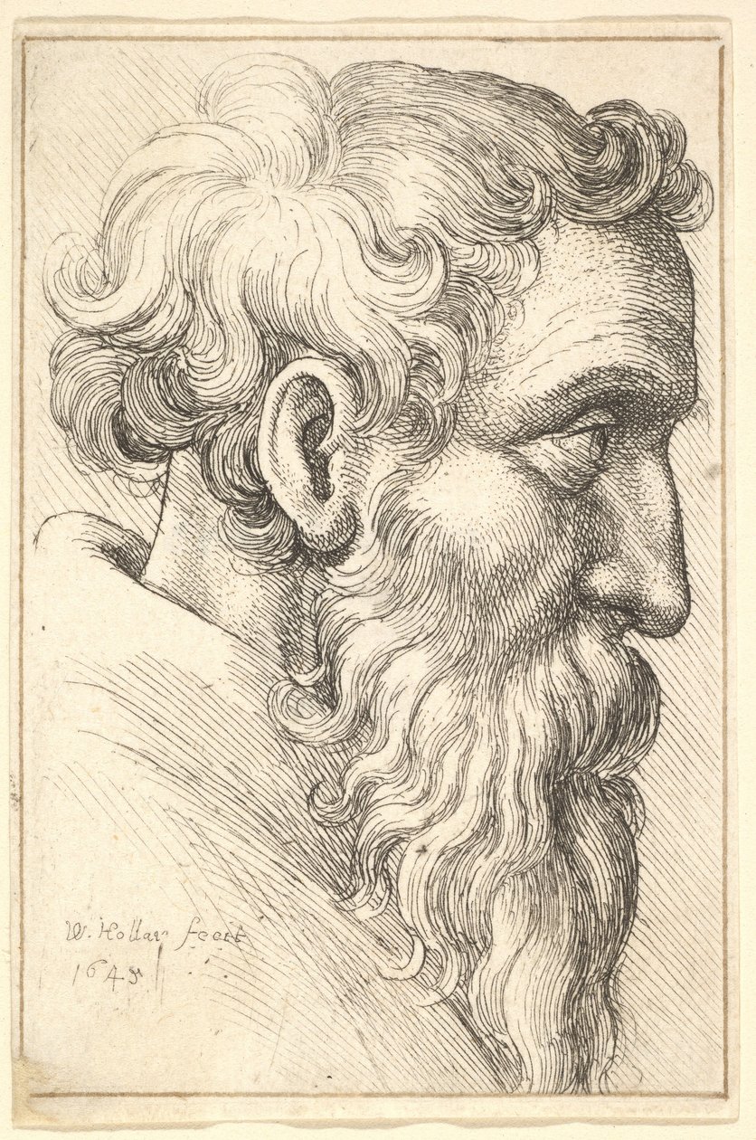Skæggede gammel mand i profil til højre, 1645. af Wenceslaus Hollar