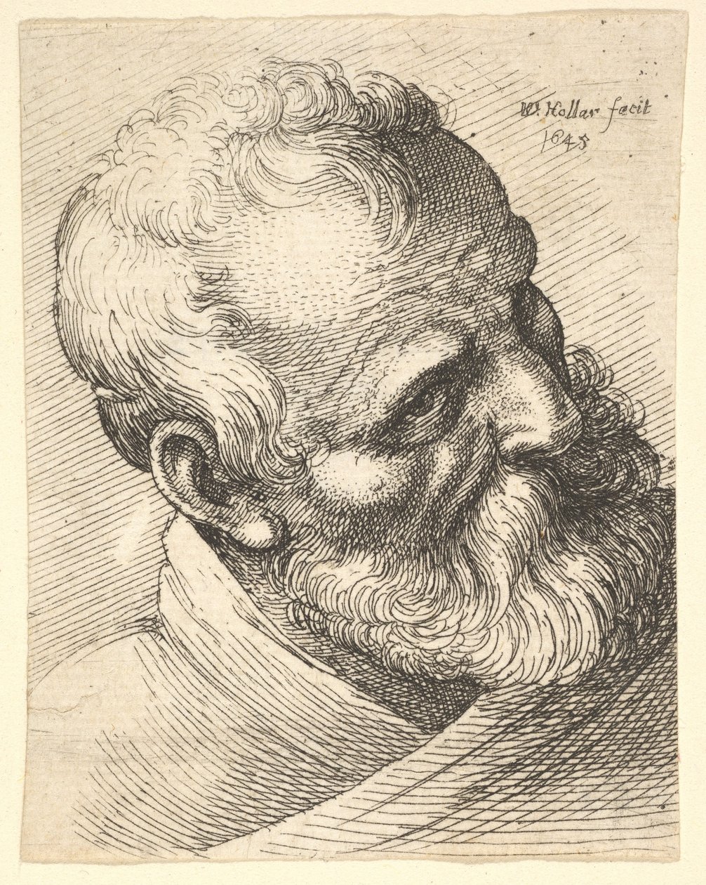 Skægget gammel mand med hovedet på skrå, 1645. af Wenceslaus Hollar