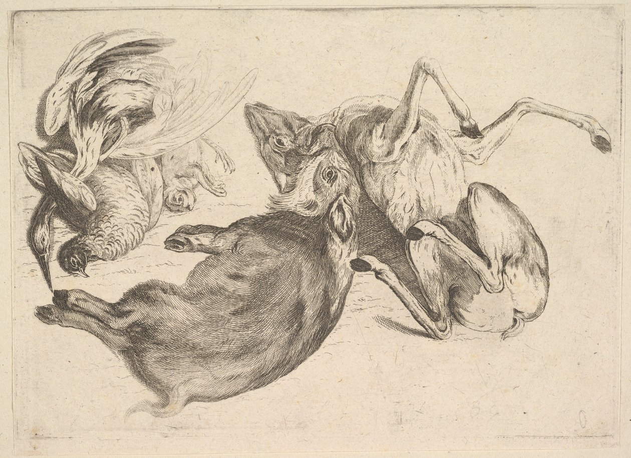 Orne, rådyr, hejre og andet vildt, 1625-77. af Wenceslaus Hollar