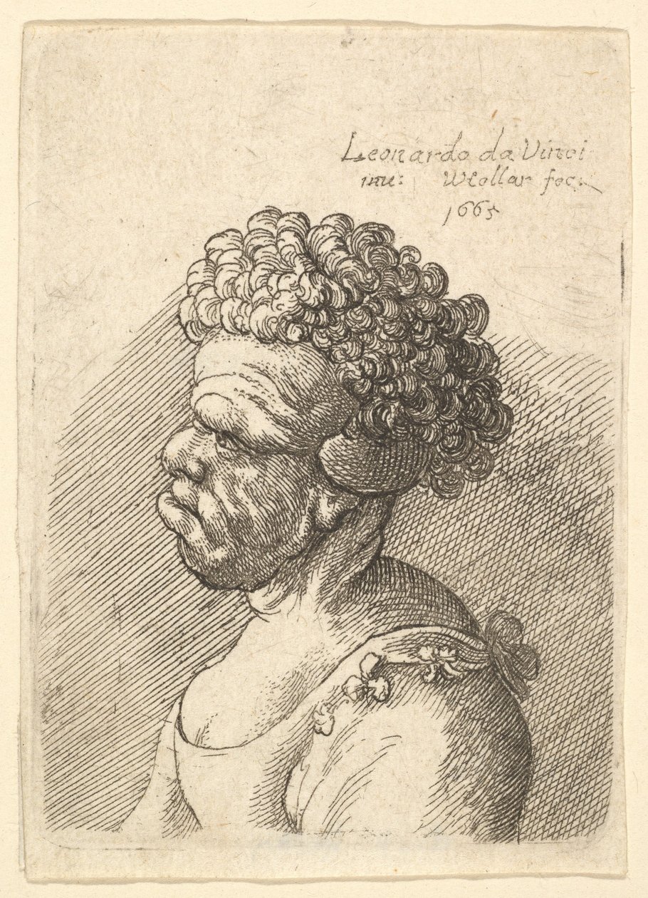 Buste af en deformeret kvinde med krøllet hår i profil til venstre, 1665. af Wenceslaus Hollar