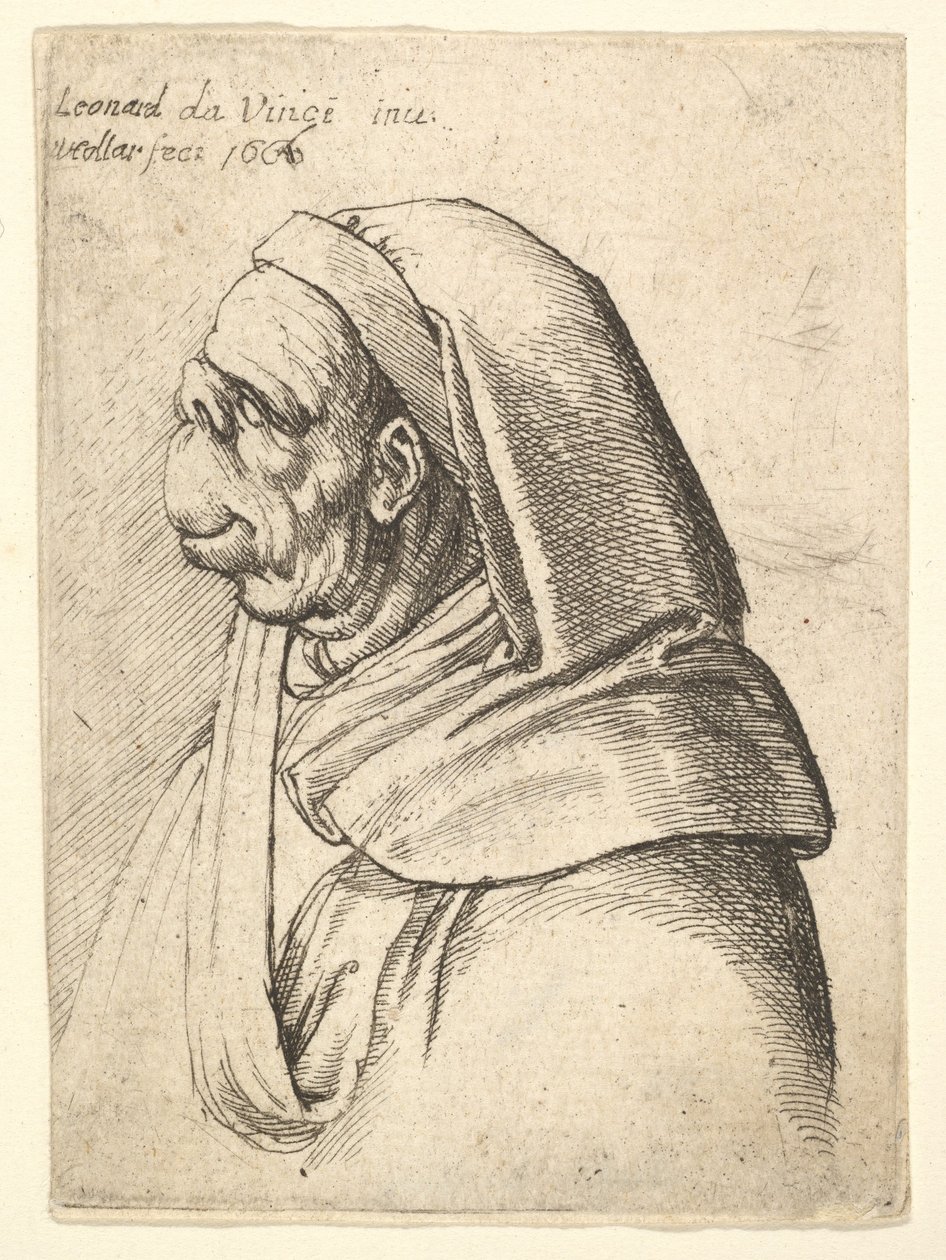 Buste af en mand med en lille opslået næse og meget høj overlæbe, iført hætte, i profil..., 1666. af Wenceslaus Hollar