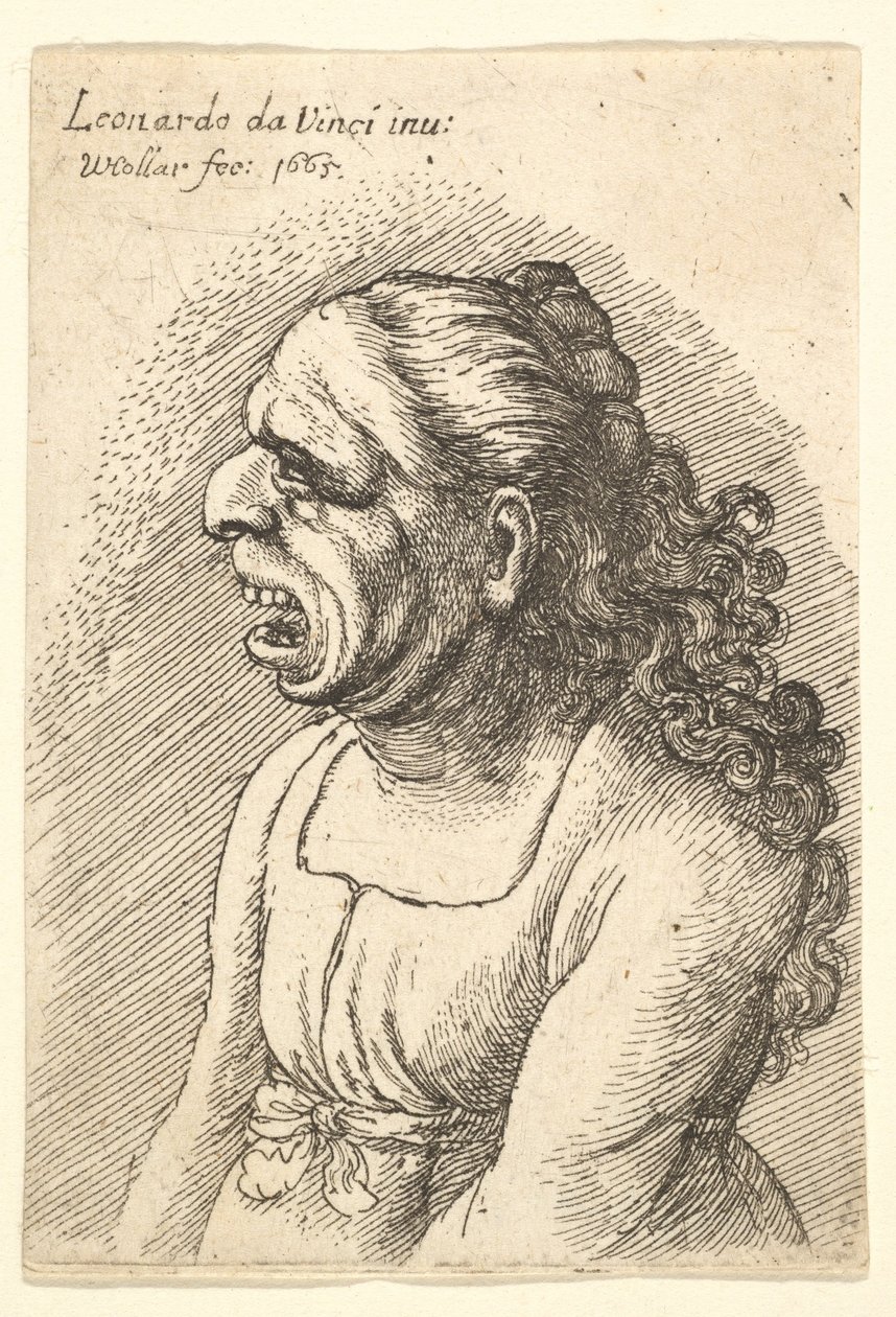Buste af kvinde med vidt åben mund og langt krøllet hår, der falder over hendes skuldre, iført..., 1665. af Wenceslaus Hollar