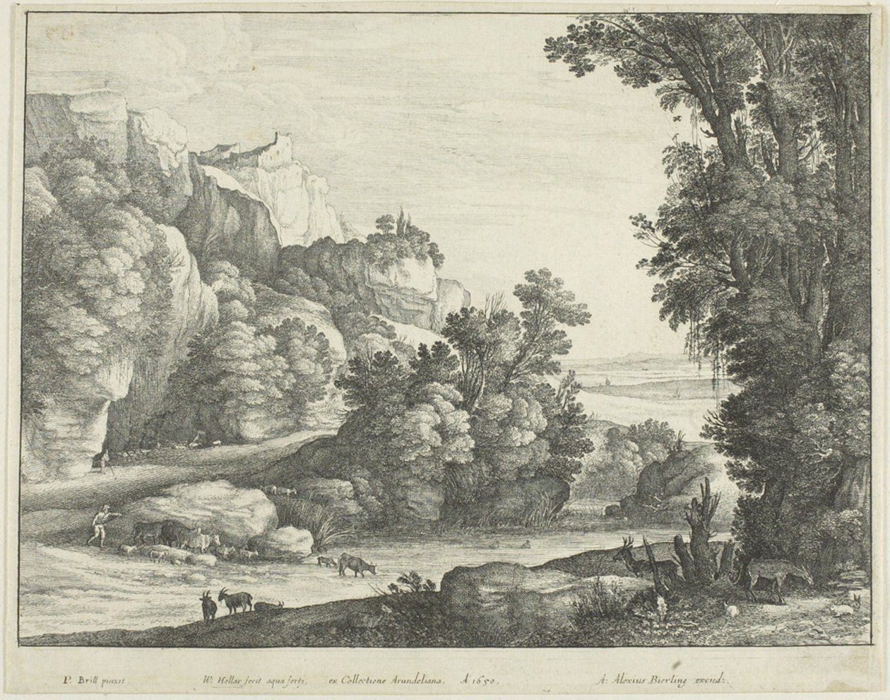 Kvæg drikker af Wenceslaus Hollar