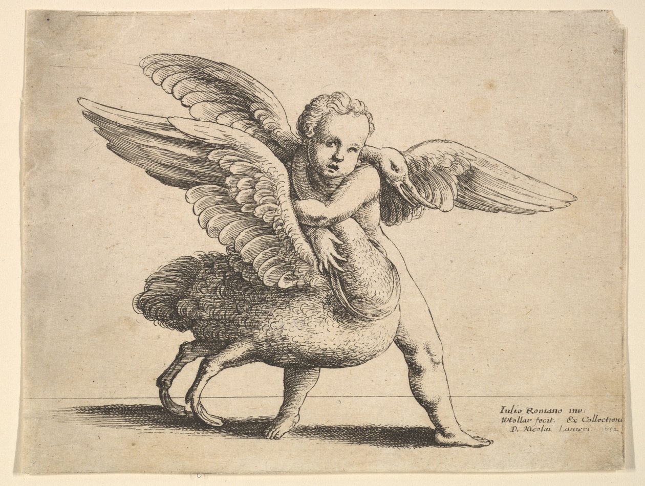 Amor og svanen, 1652. af Wenceslaus Hollar