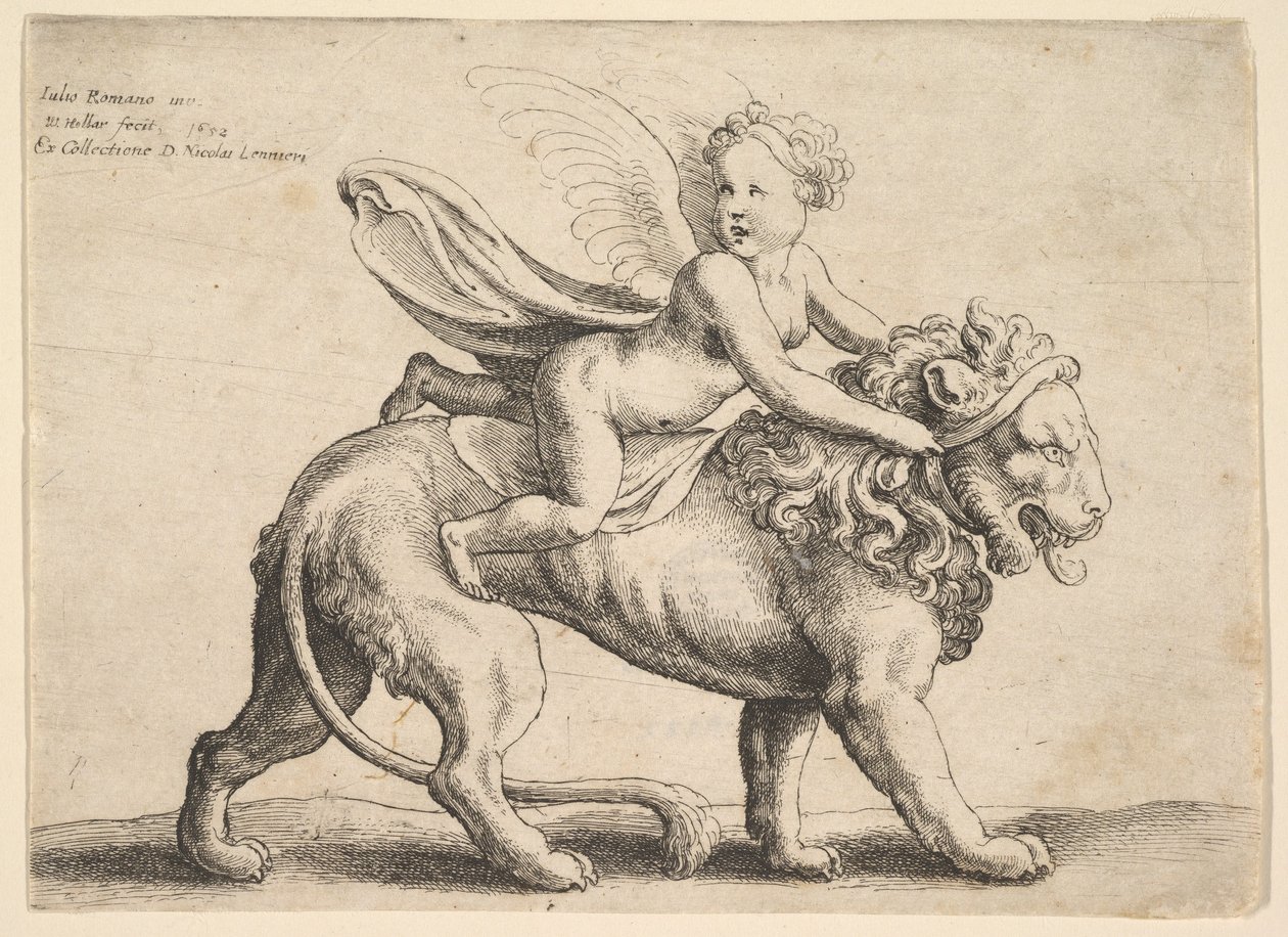 Amor på en løve, 1652. af Wenceslaus Hollar