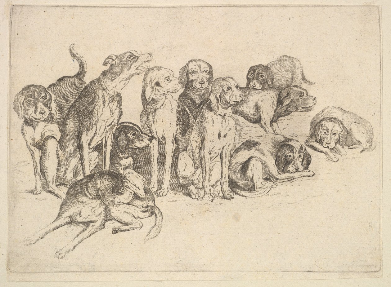 Elleve jagthunde af Wenceslaus Hollar