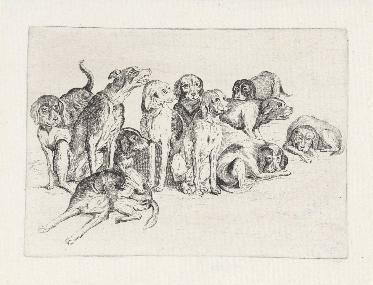Elleve jagthunde af Wenceslaus Hollar