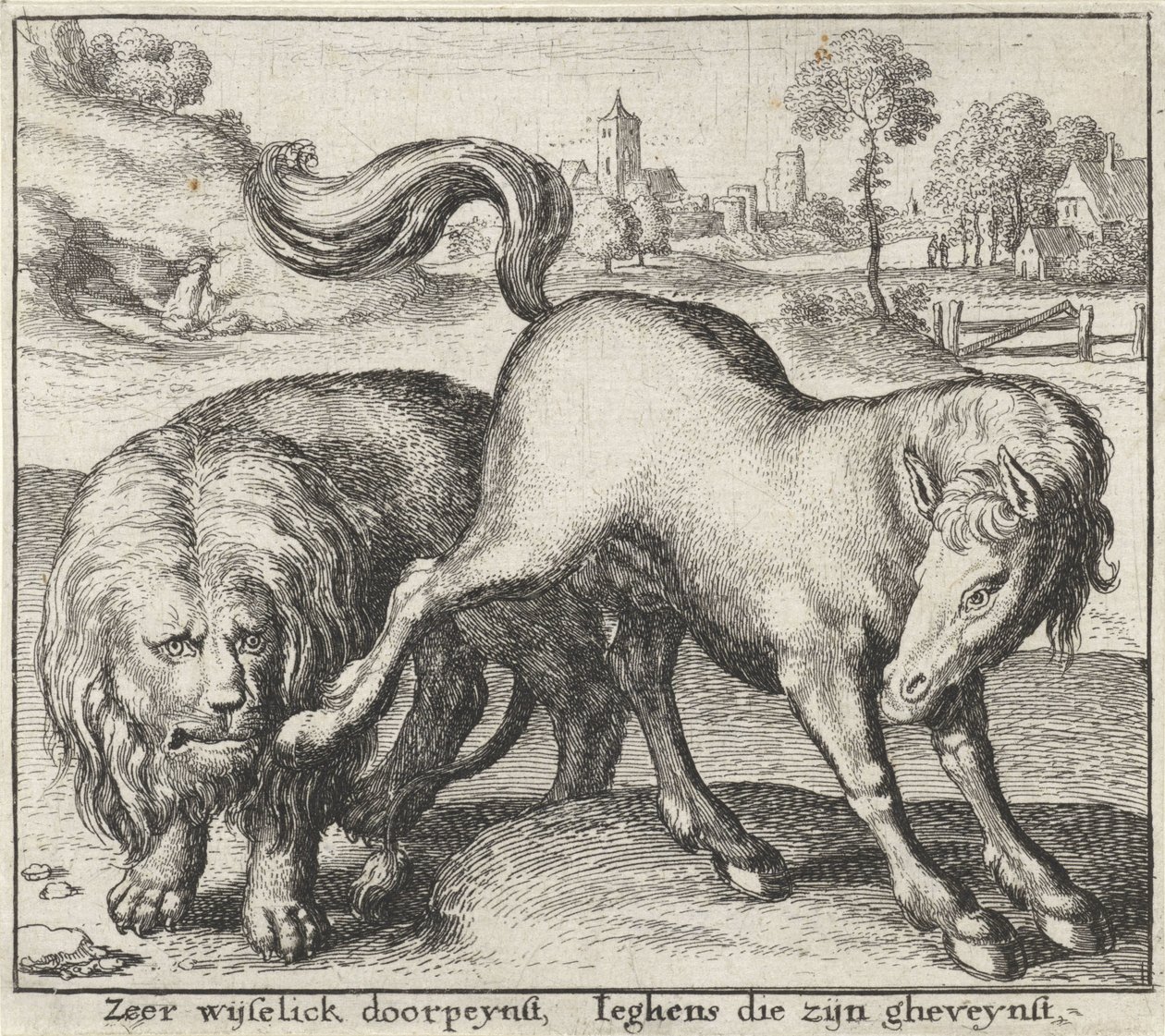 Fabel om løven og hingsten Fabler (serietitel) af Wenceslaus Hollar
