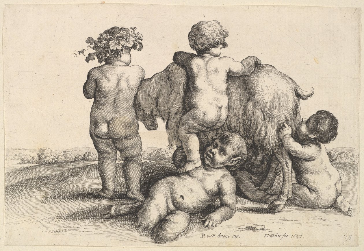 Fire drenge, en ung satyr og en ged, 1647. af Wenceslaus Hollar