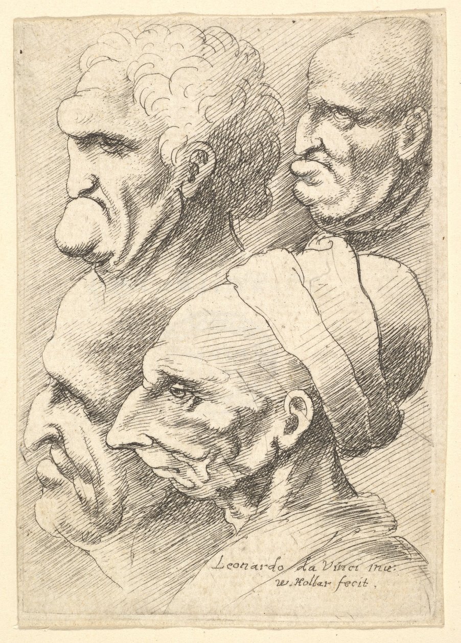 Fire groteske hoveder i profil til venstre, 1625-77. af Wenceslaus Hollar
