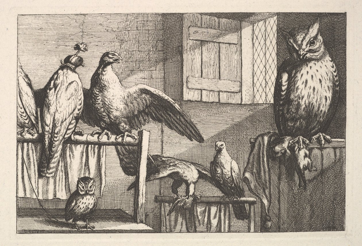 Høge og ugler, 1625-77. af Wenceslaus Hollar