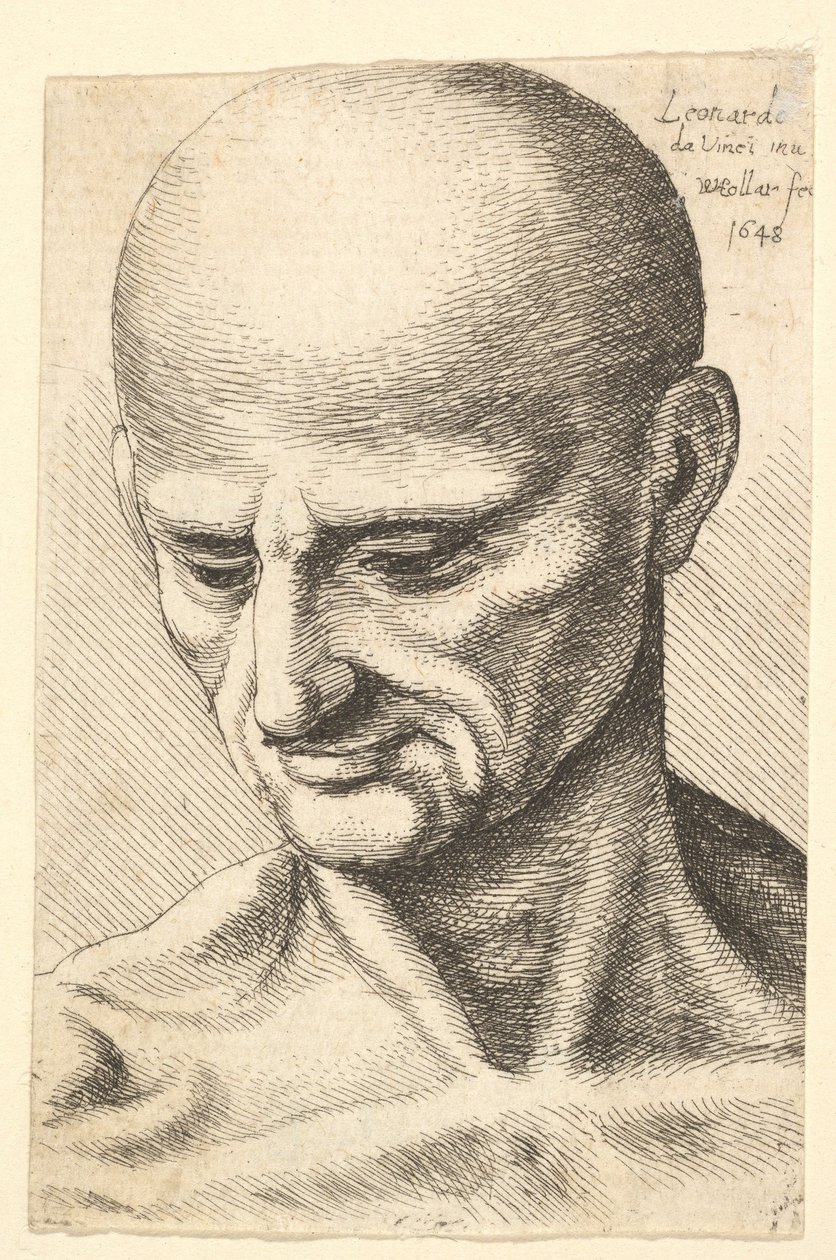 Hoved af en skaldet, senet mand, der kigger nedad, 1648. af Wenceslaus Hollar
