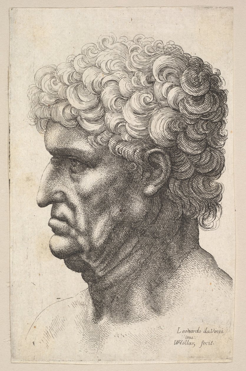 Hoved af en mand med tykt krøllet hår i profil til venstre, 1640-49. af Wenceslaus Hollar