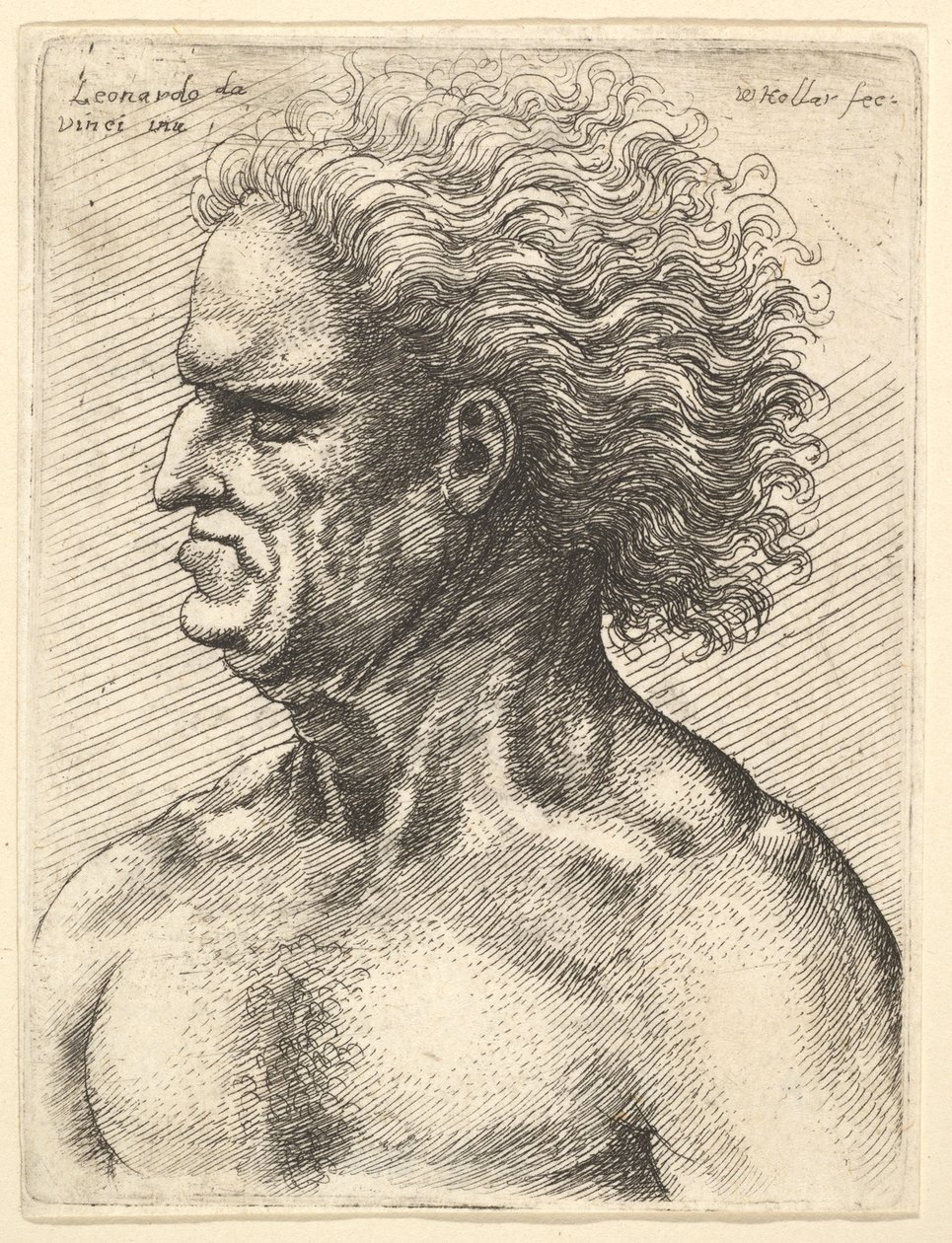 Hovedet af en muskuløs gammel mand i profil til venstre med strømmende hår, 1625-77. af Wenceslaus Hollar