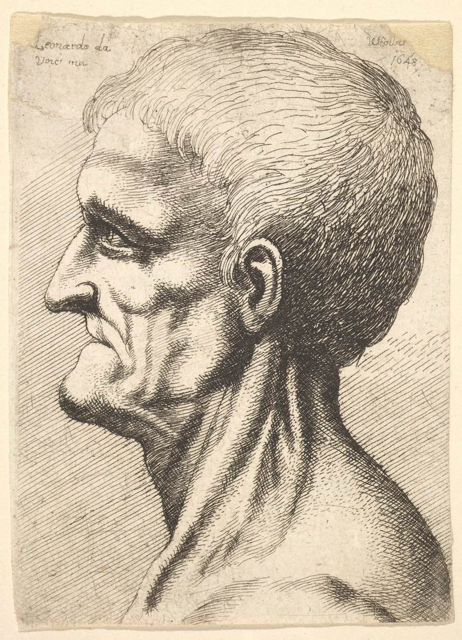 Hoved af en tandløs mand med bar, senet hals i profil til venstre, 1648. af Wenceslaus Hollar