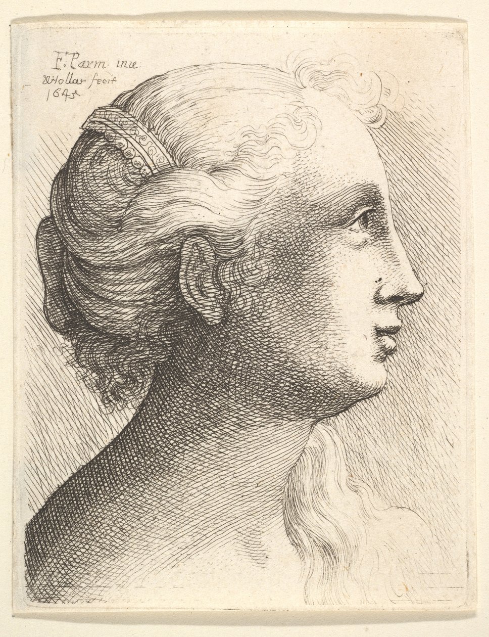 Leder af en ung kvinde i profil til højre, 1645. af Wenceslaus Hollar