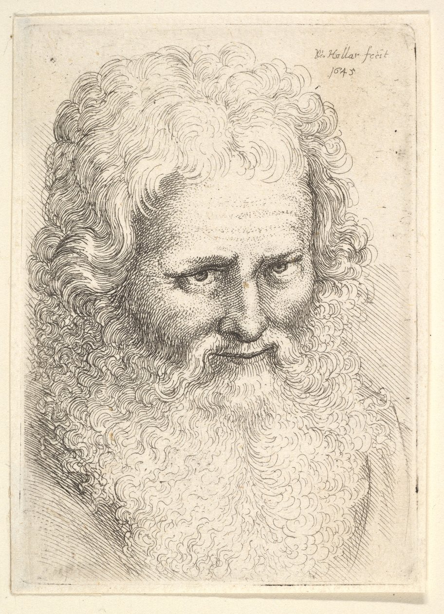 Hoved af en gammel mand med stort skæg, 1645. af Wenceslaus Hollar