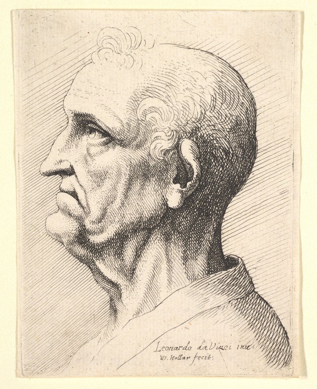 Hoved af en gammel mand med totter af krøllet hår omkring øret i profil til venstre, 1644-52. af Wenceslaus Hollar