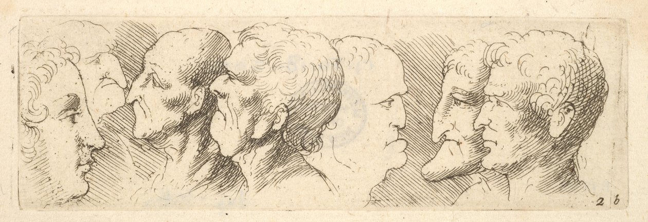 Hovedstudier, 1625-77 af Wenceslaus Hollar