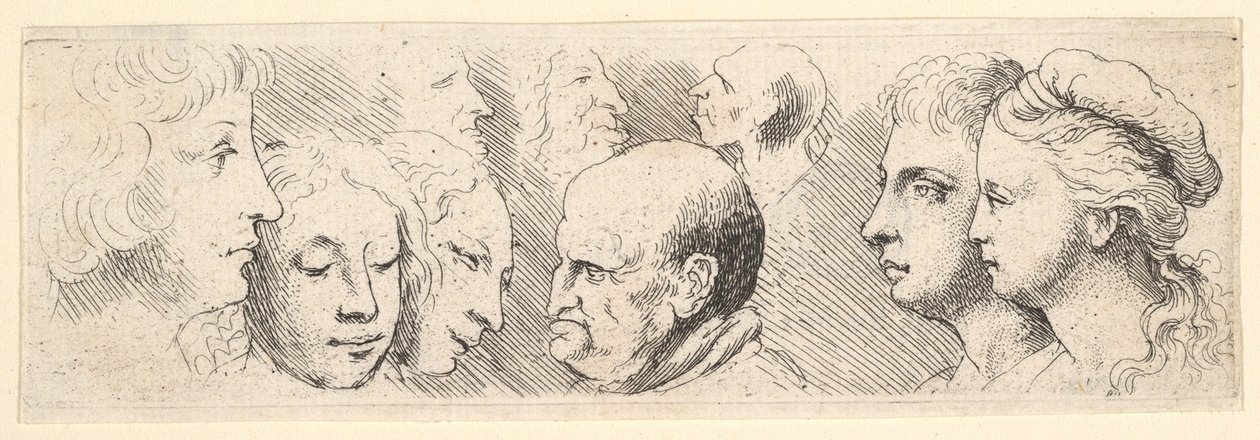 Hovedstudier, 1644-52. af Wenceslaus Hollar
