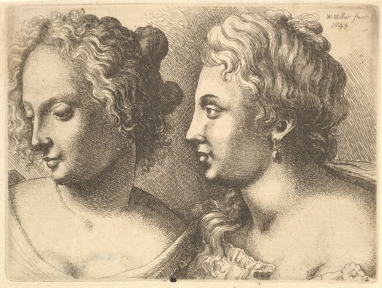 Hoveder af to unge kvinder, 1645. af Wenceslaus Hollar