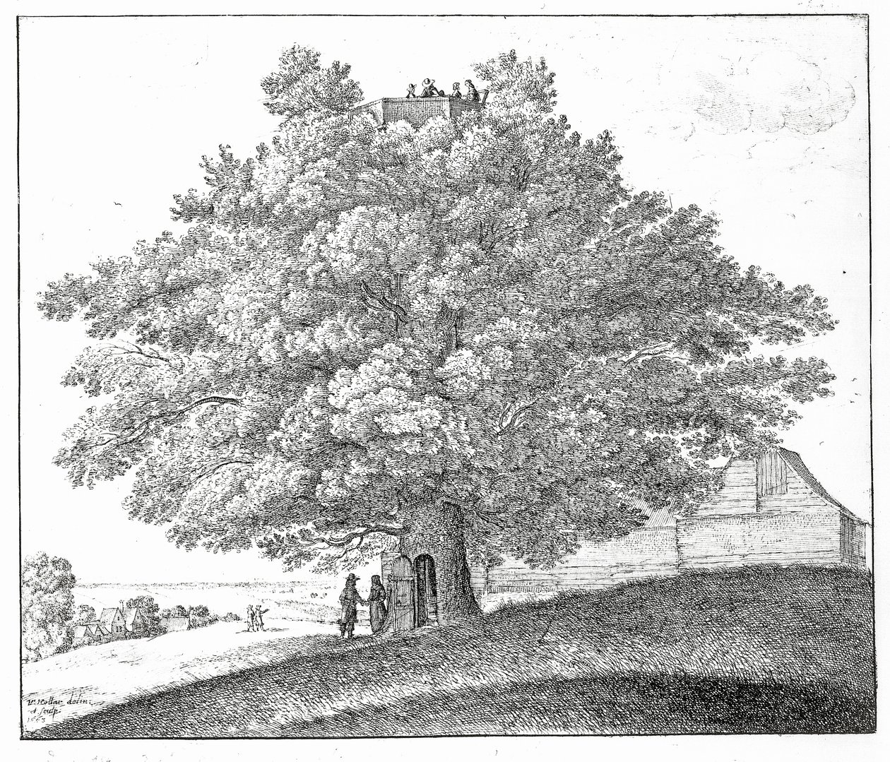 Hollow Tree at Hampstead, 1663 af Wenceslaus Hollar