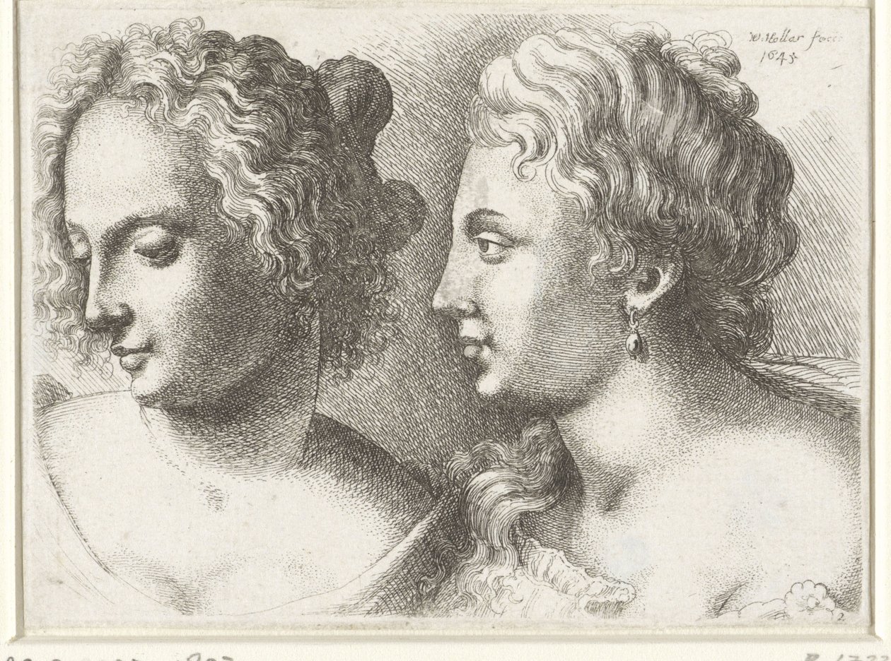 Hoveder af to unge kvinder Varie figurae et probae (serietitel) Karikaturer, hoveder og deformiteter efter Leonardo da Vinci (serietitel) af Wenceslaus Hollar
