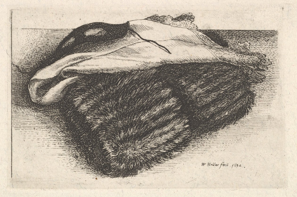 Muffe, hvidt tørklæde og maske, 1642. af Wenceslaus Hollar