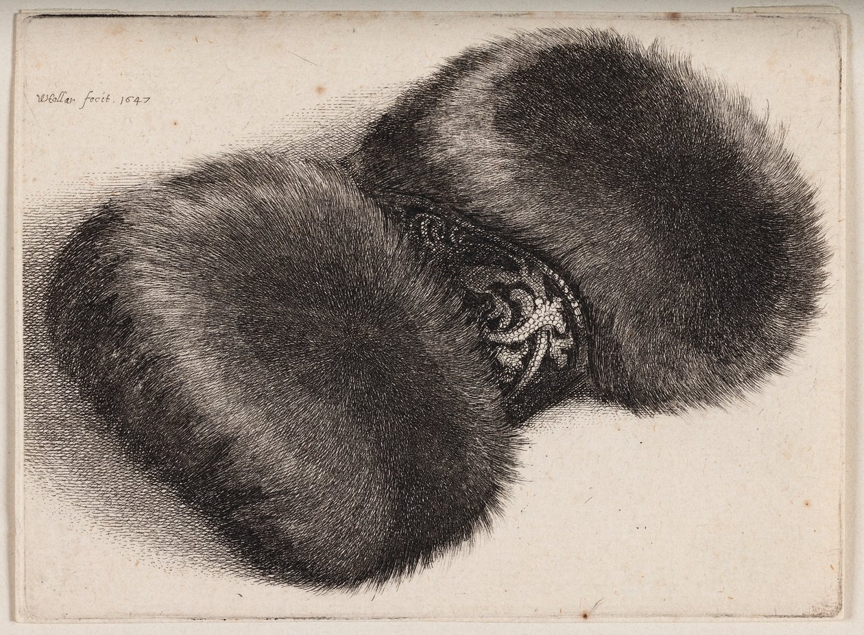 Pelsmuffe med et brokadeklædt bånd af Wenceslaus Hollar