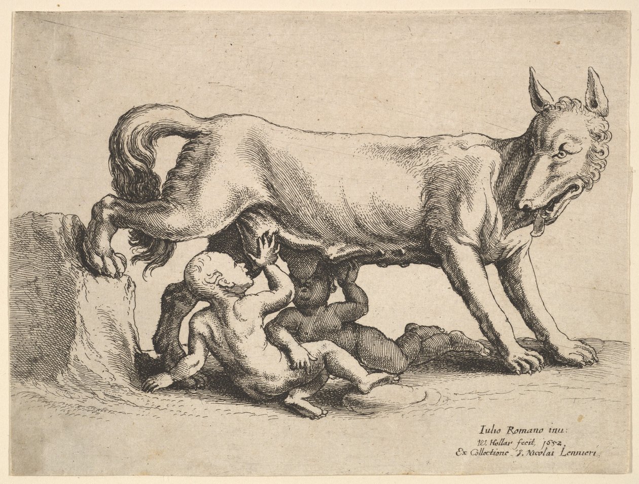 Romulus og Remus, 1652. af Wenceslaus Hollar