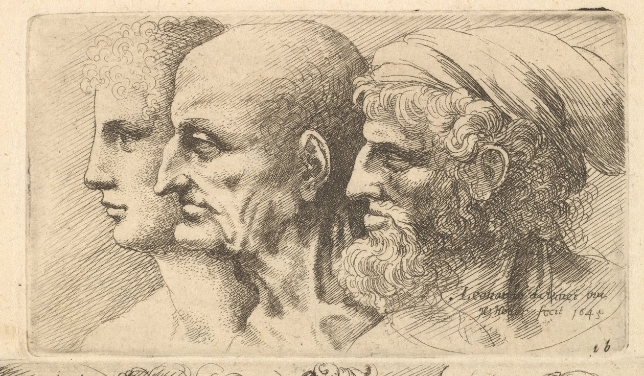 Række af tre hoveder i profil til venstre, 1645. af Wenceslaus Hollar