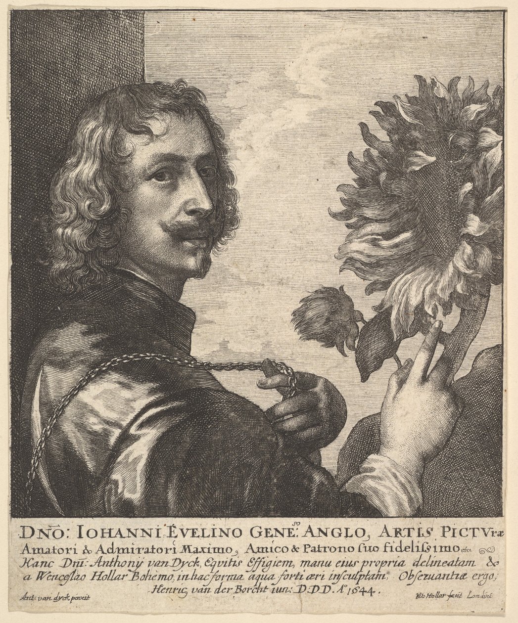 Sir Anthony van Dyck med en solsikke, 1644. af Wenceslaus Hollar