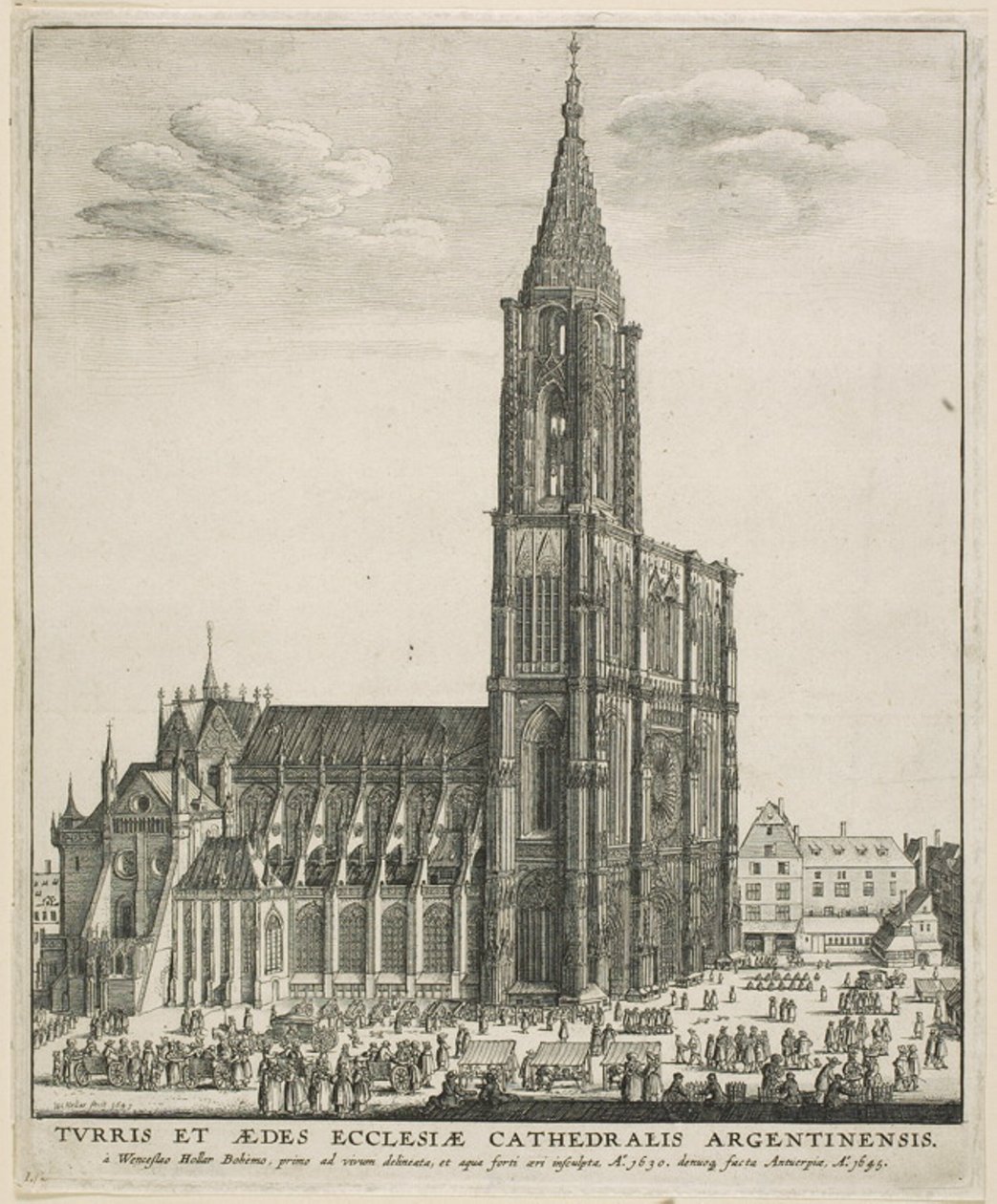 Strasbourg katedral af Wenceslaus Hollar