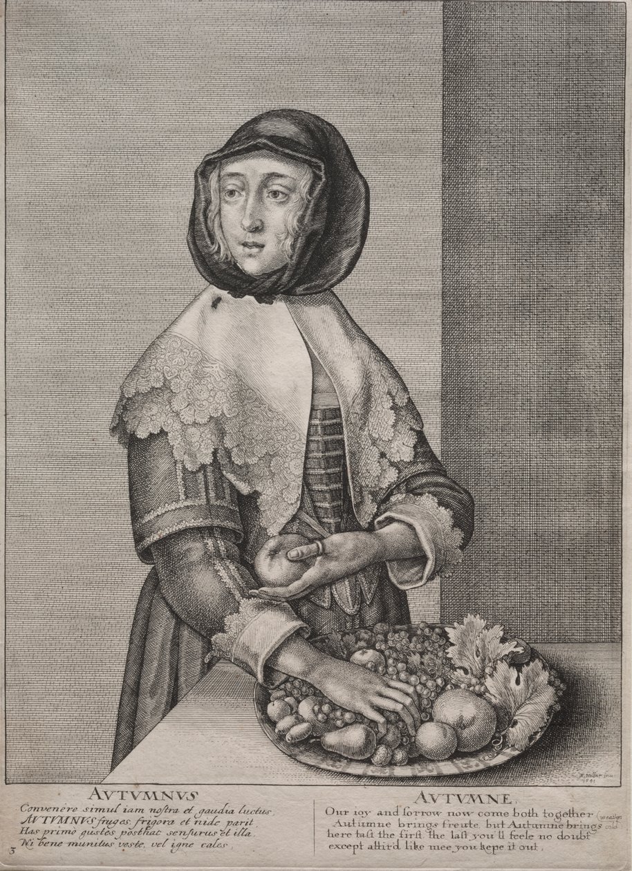 De fire årstider: Efterår af Wenceslaus Hollar