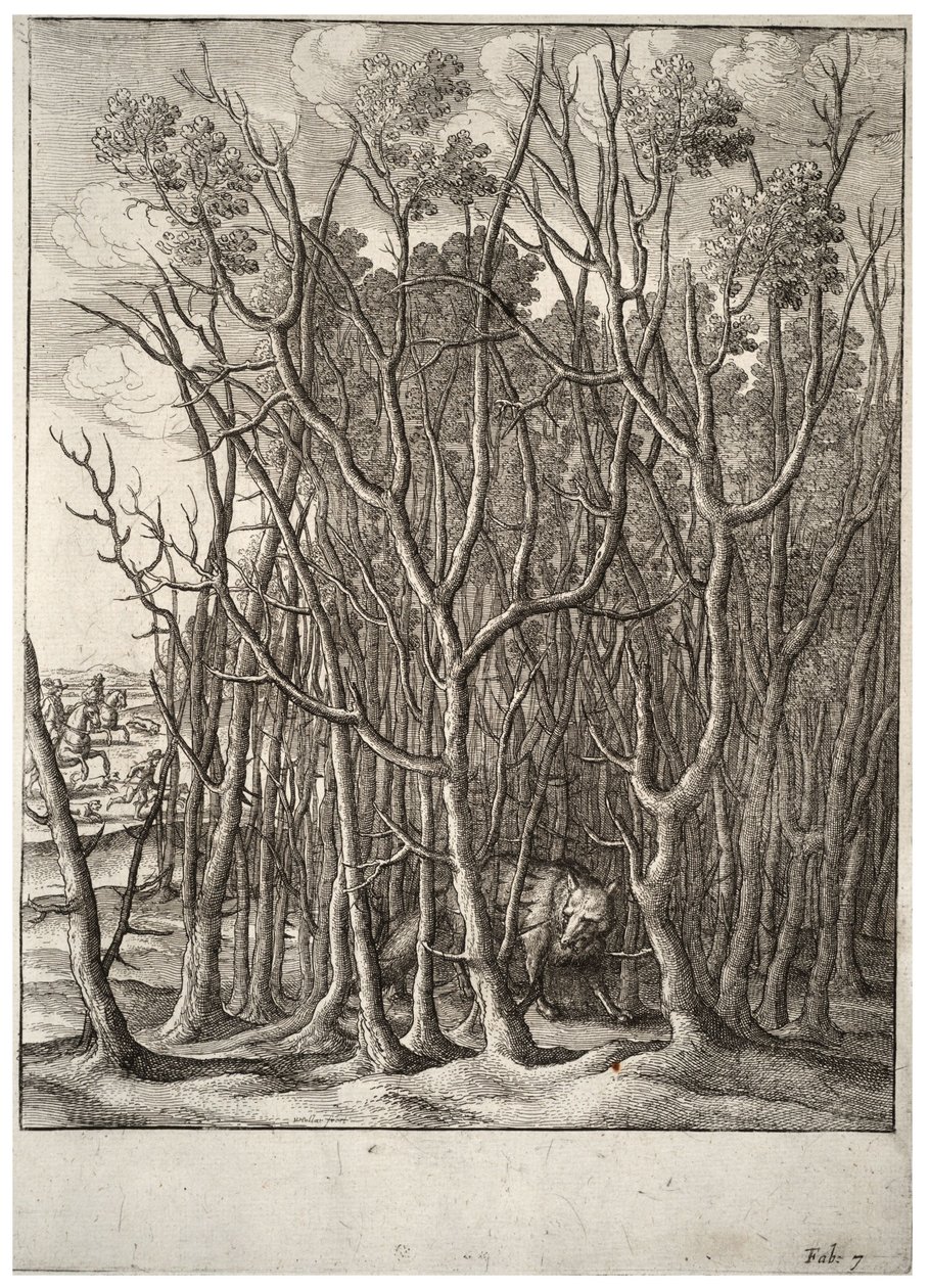 Ræven og tornebusken. Tilstand 2 af Wenceslaus Hollar