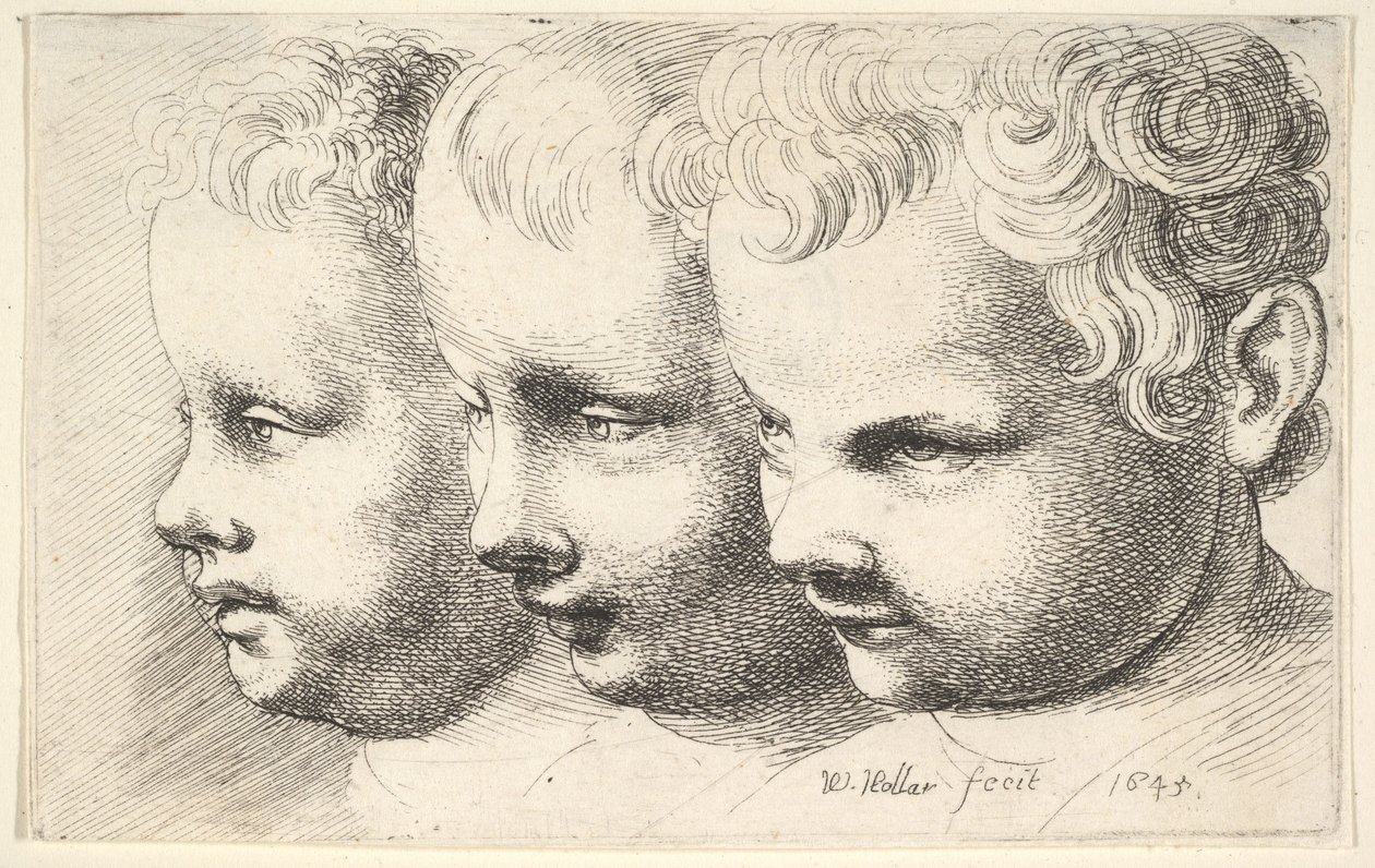 Tre børns hoveder af Wenceslaus Hollar