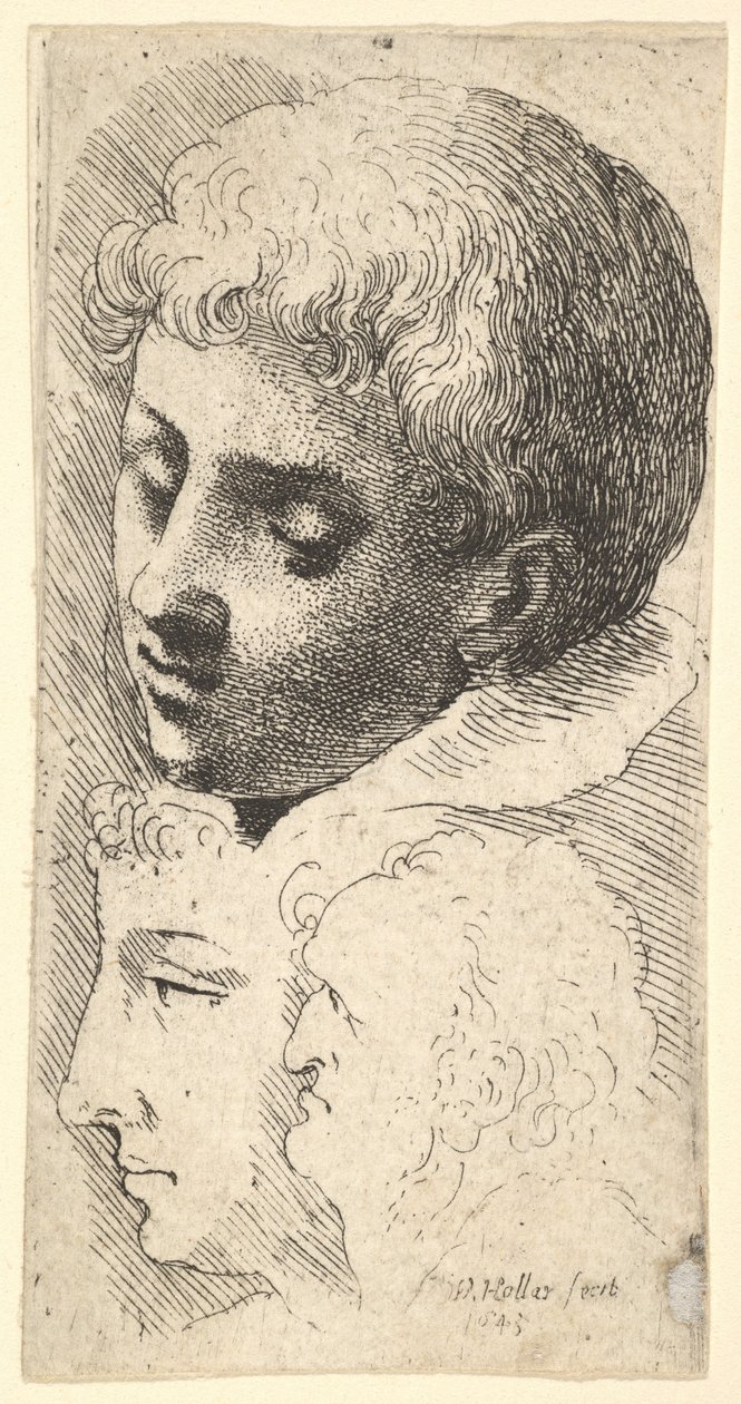 Tre hoveder, 1645. af Wenceslaus Hollar