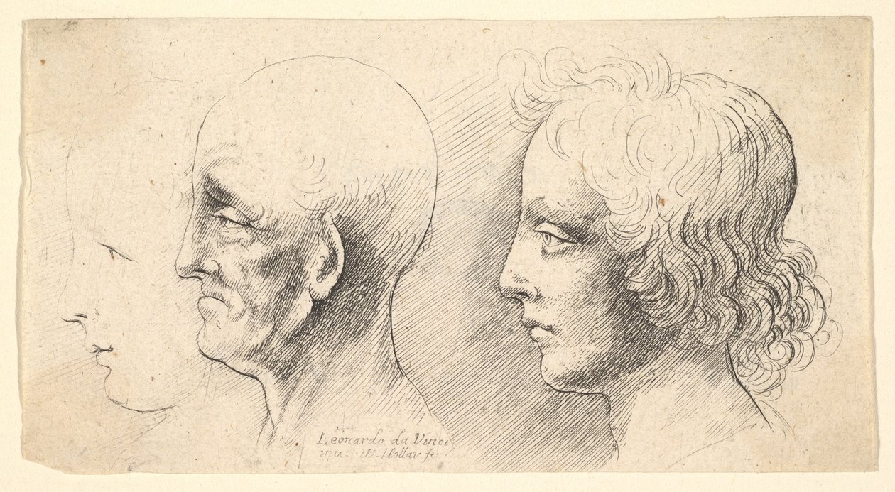 Tre profilhoveder, kun et i omrids, 1625-77. af Wenceslaus Hollar