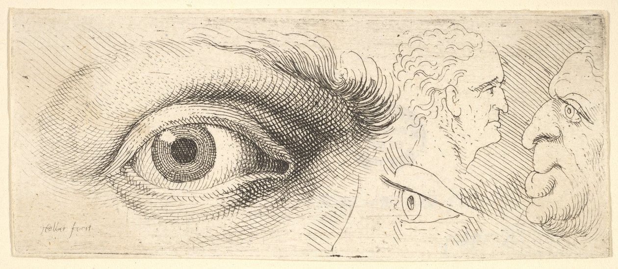 To øjne og to hoveder, 1644-52. af Wenceslaus Hollar