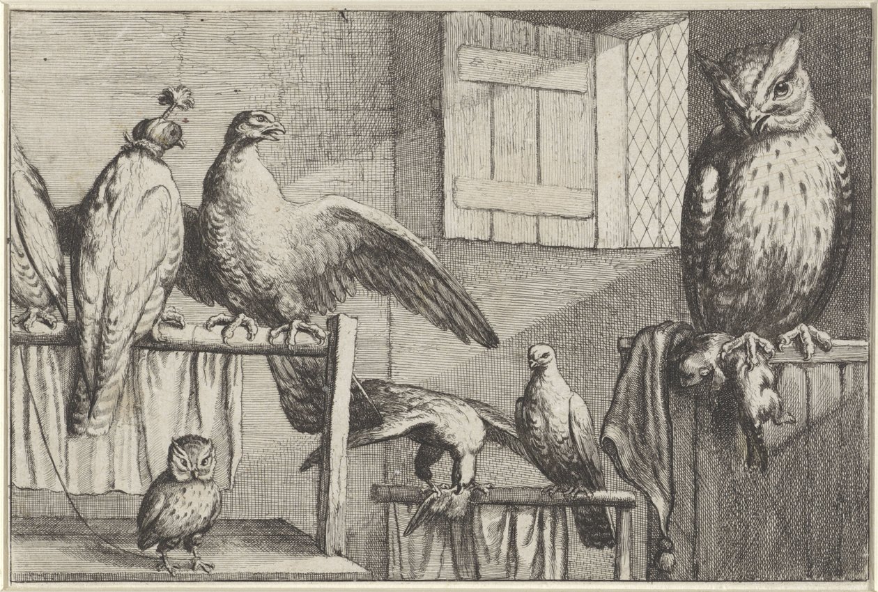Falke og ugler i en lade Diversae avium arter (serietitel) Forskellige fugle (serietitel) af Wenceslaus Hollar