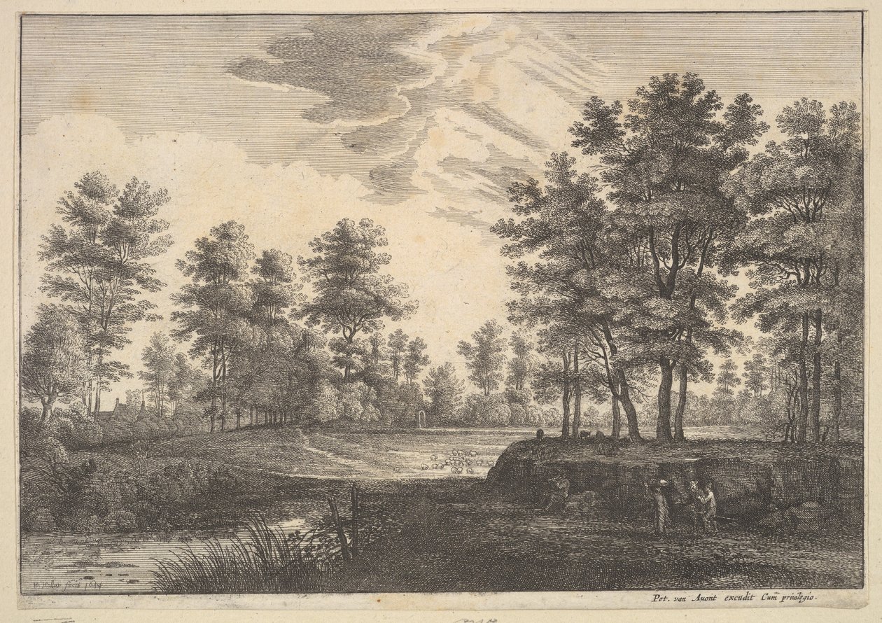 Skovklædt landskab, 1644. af Wenceslaus Hollar