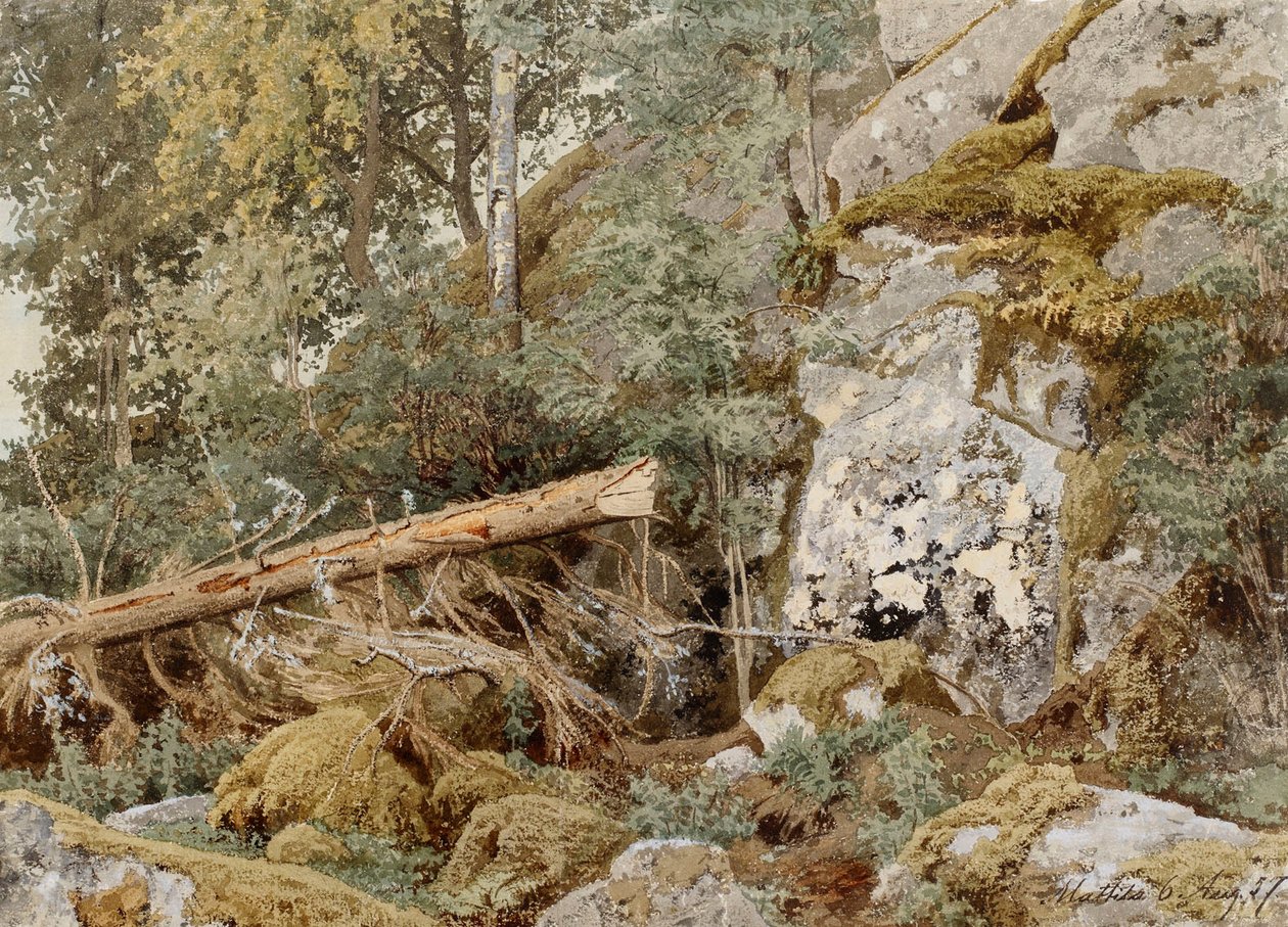 Mosbevokset sten i skoven af Werner Holmberg