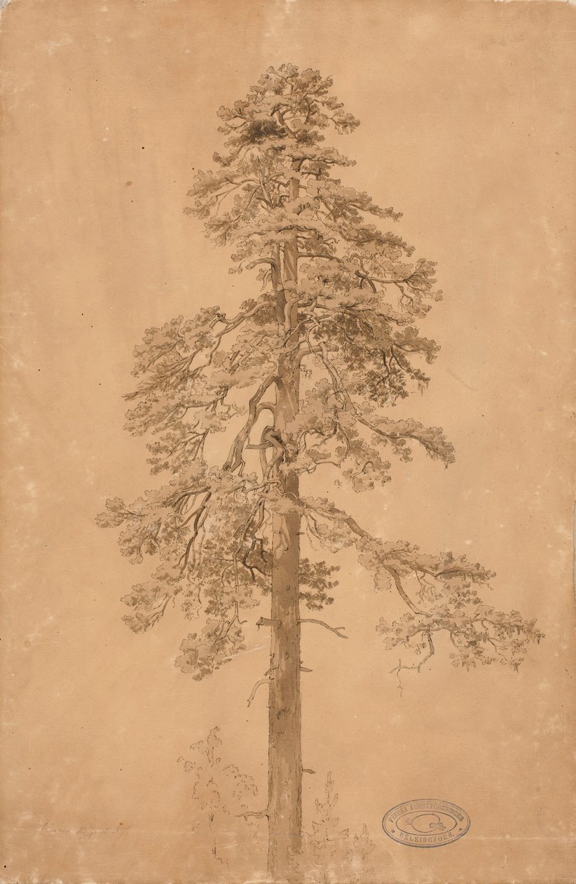 Uden titel af Werner Holmberg